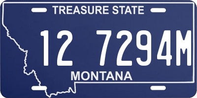 MT license plate 127294M