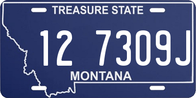 MT license plate 127309J