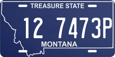 MT license plate 127473P