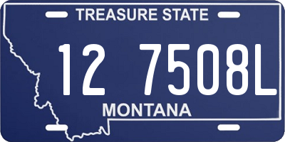 MT license plate 127508L