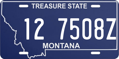 MT license plate 127508Z