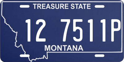 MT license plate 127511P