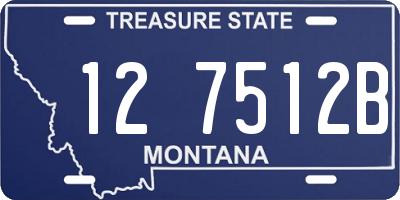 MT license plate 127512B