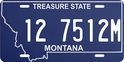 MT license plate 127512M