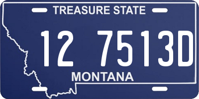 MT license plate 127513D