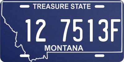 MT license plate 127513F