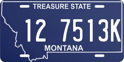 MT license plate 127513K