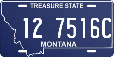 MT license plate 127516C
