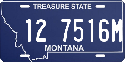 MT license plate 127516M