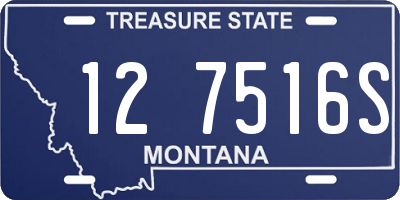 MT license plate 127516S