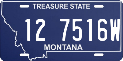 MT license plate 127516W