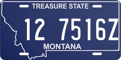 MT license plate 127516Z