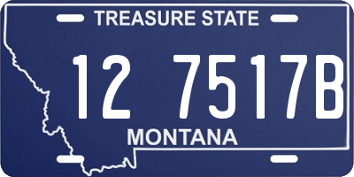MT license plate 127517B