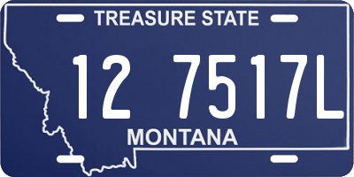 MT license plate 127517L