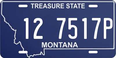 MT license plate 127517P