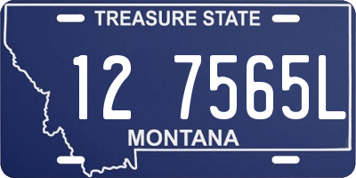 MT license plate 127565L