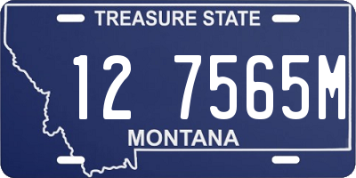 MT license plate 127565M