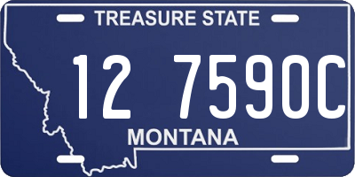 MT license plate 127590C