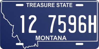 MT license plate 127596H