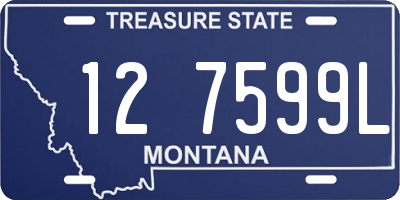 MT license plate 127599L
