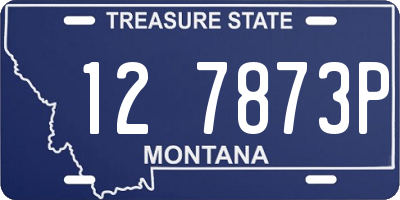 MT license plate 127873P