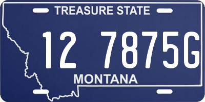 MT license plate 127875G