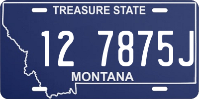 MT license plate 127875J