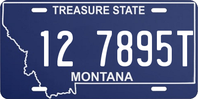 MT license plate 127895T