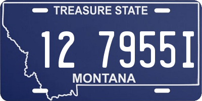 MT license plate 127955I
