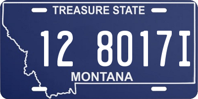 MT license plate 128017I