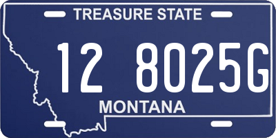 MT license plate 128025G