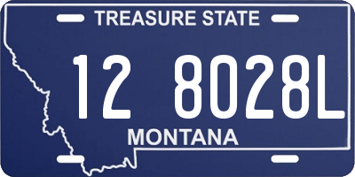 MT license plate 128028L