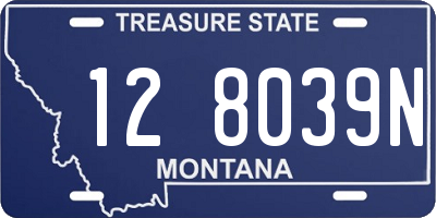 MT license plate 128039N