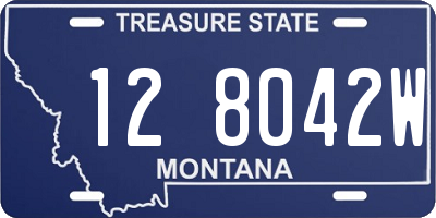 MT license plate 128042W