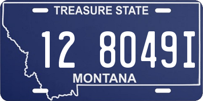 MT license plate 128049I