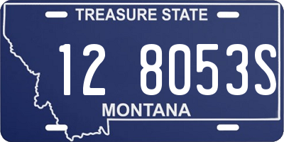 MT license plate 128053S
