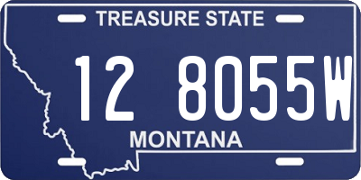MT license plate 128055W