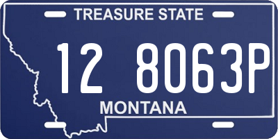 MT license plate 128063P