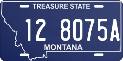 MT license plate 128075A