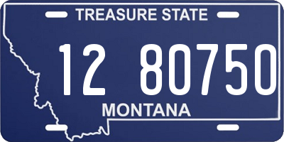 MT license plate 128075O