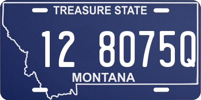 MT license plate 128075Q