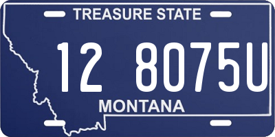 MT license plate 128075U
