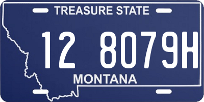MT license plate 128079H
