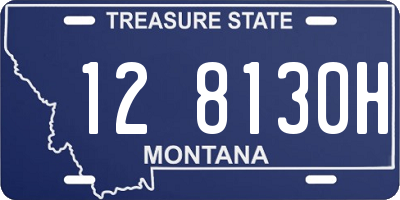 MT license plate 128130H