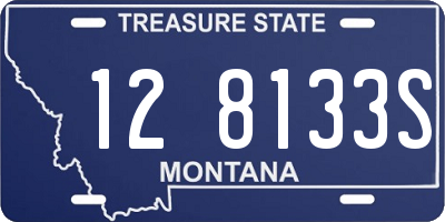 MT license plate 128133S