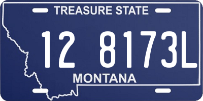 MT license plate 128173L