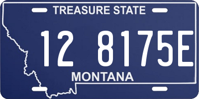 MT license plate 128175E