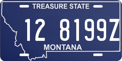 MT license plate 128199Z