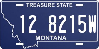 MT license plate 128215W