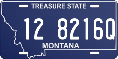 MT license plate 128216Q